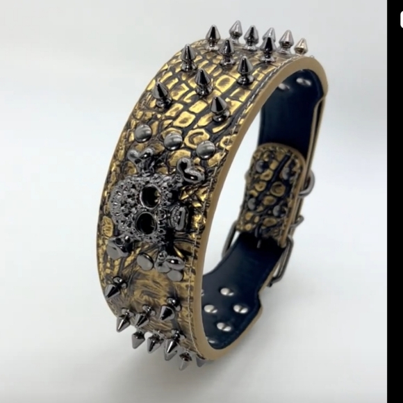 Studded collar - Picture 14 of 14